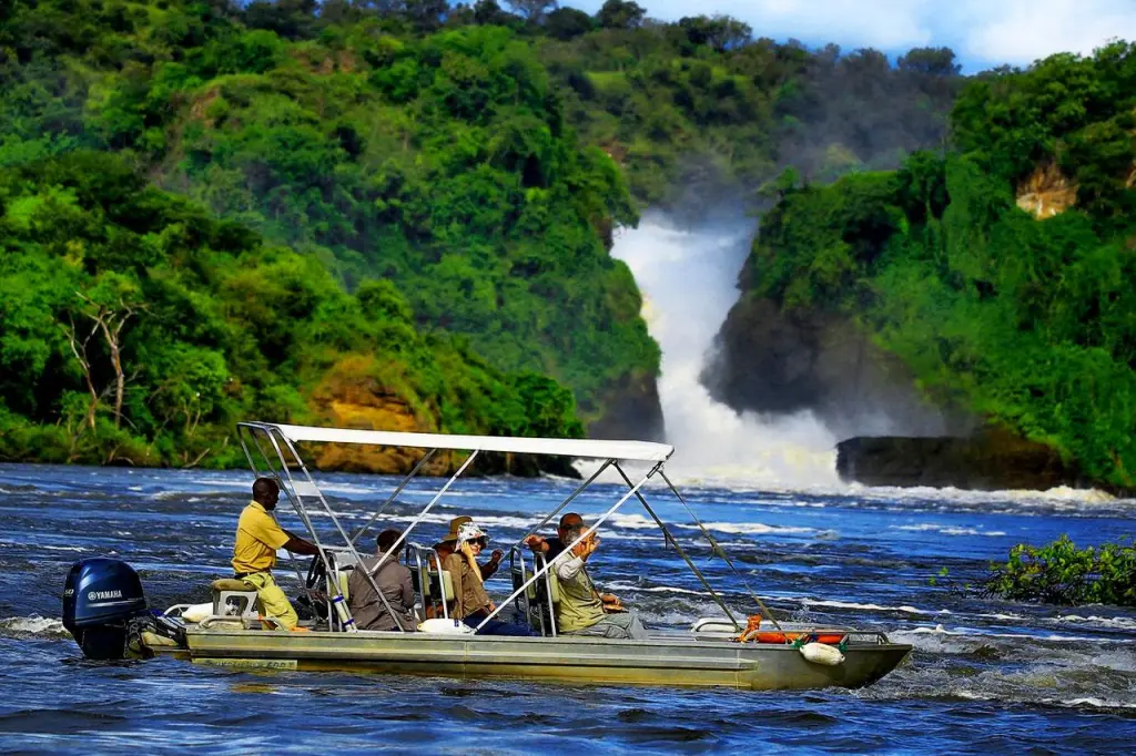 A Nile boat safari creates excellent opportunities for photographing hippos, crocodiles, elephants, waterbirds and other wildlife along