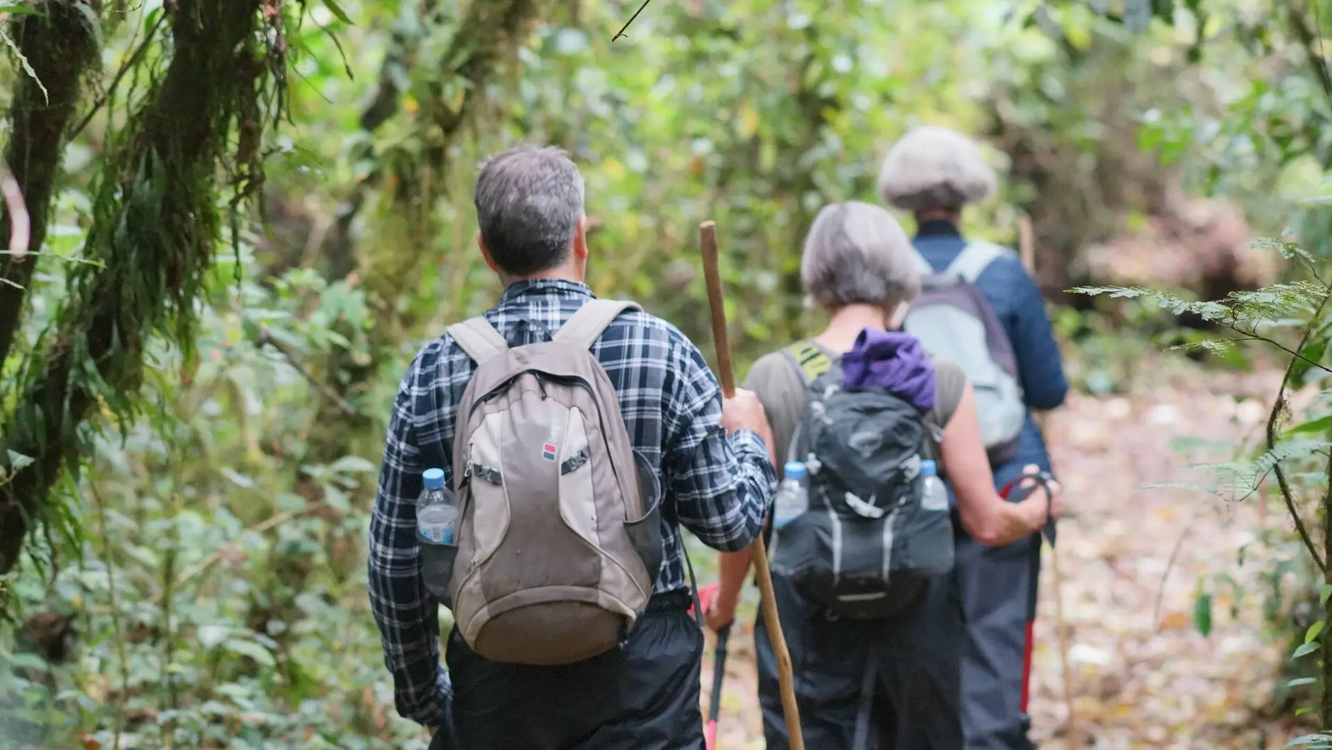 During relatively dry months, visitors should still carry a rain jacket because tropical showers remain possible. The principal difference is that