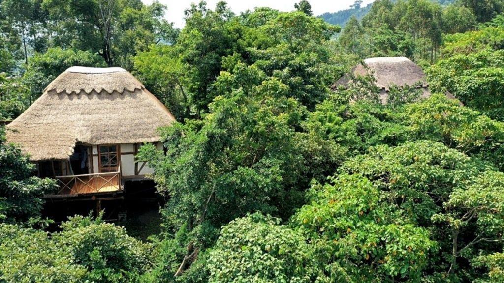 Papaya Lake Lodge is one of the most 