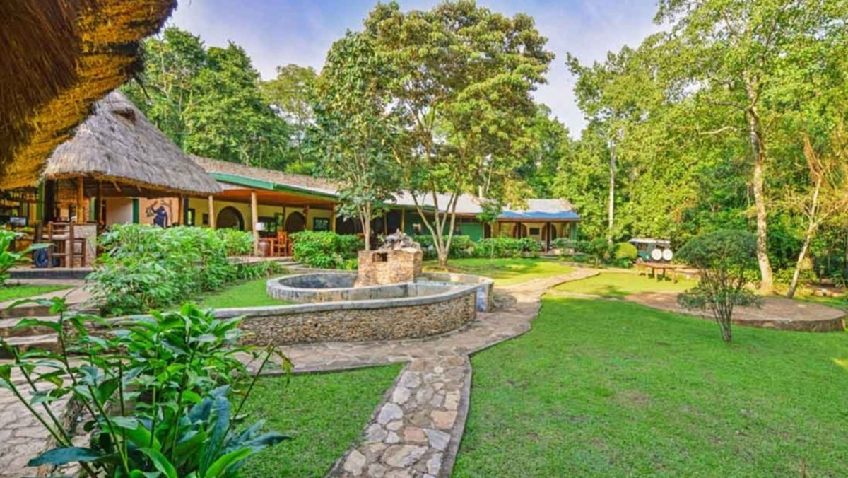 Primate Lodge Kibale is one of the most sought-after luxury accommodations featured in every Kibale Accommodation Guide because of its unmatched location inside Kibale Forest National Park. Unlike many other lodges situated outside the park boundaries, Primate Lodge places guests right in the heart of the rainforest, 