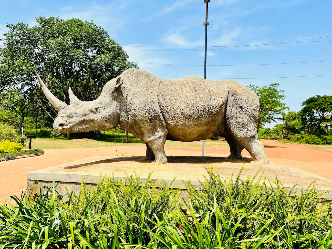 Rhino Tracking at Ziwa Rhino Sanctuary on a Uganda Big Five Safari
