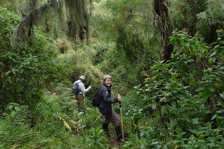 Rwanda wildlife safari experience in November