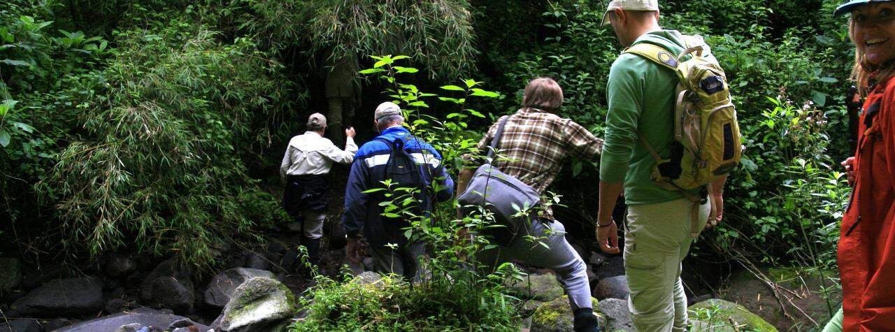 Luxury Rwanda Safari holiday in November