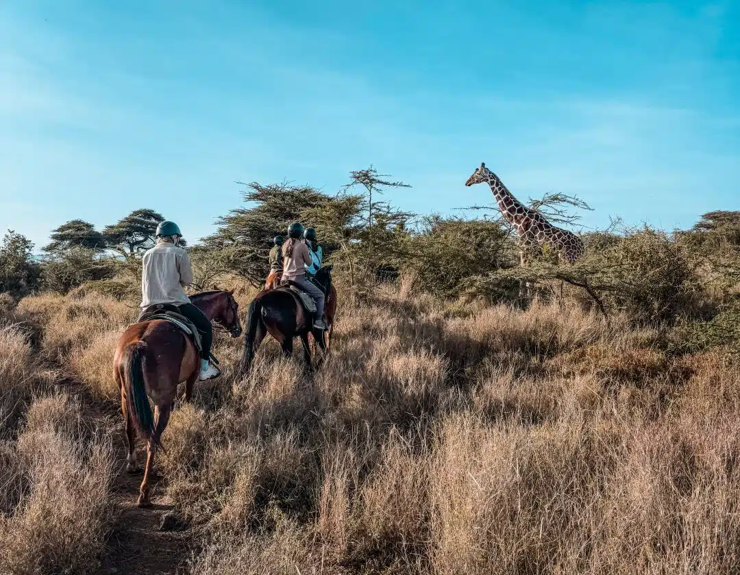 Luxury Rwanda Safari in September