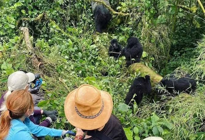 German travellers enjoying a Rwanda safari experience
