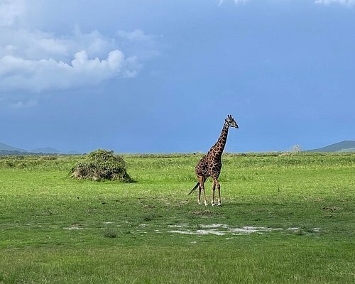 Private Rwanda safari holiday from the United States