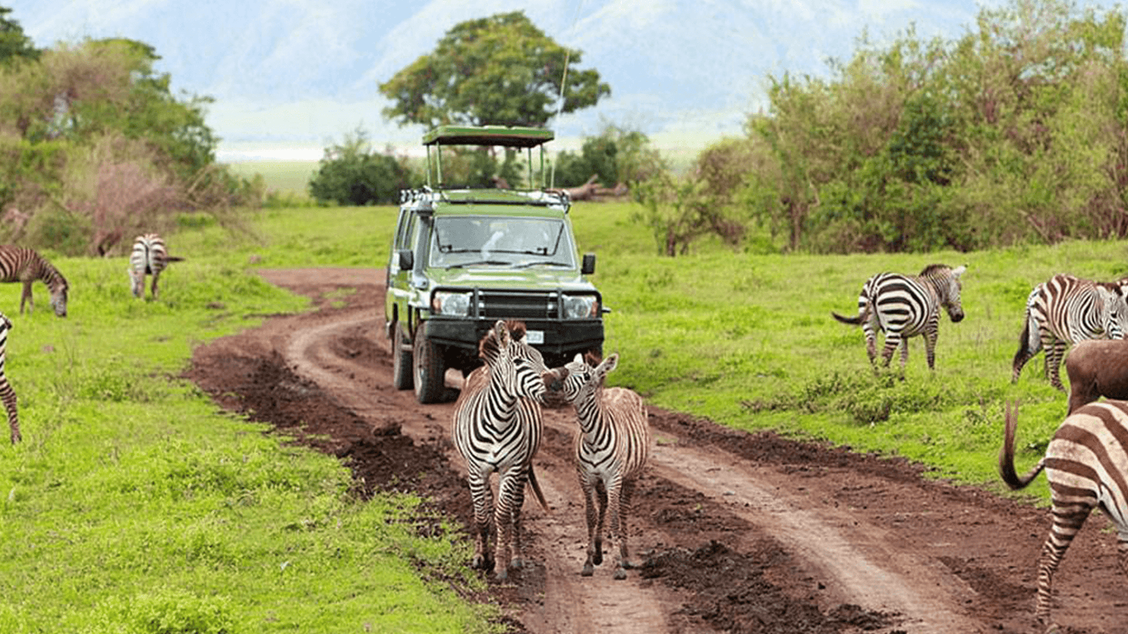 American travellers enjoying a Rwanda safari experience