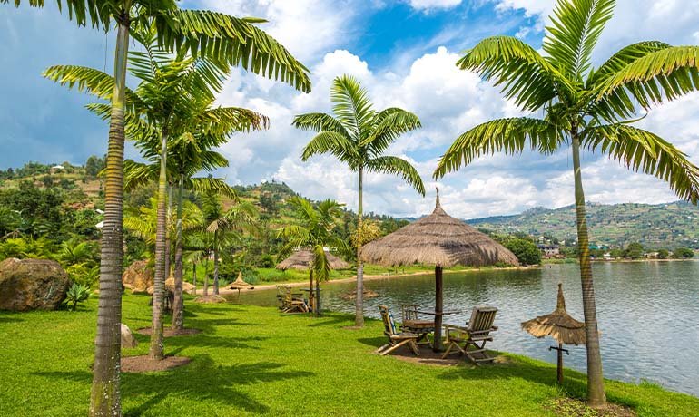 Weather during a Rwanda Safari in August varies considerably according to altitude and region. Eastern Rwanda around Akagera National Park is relatively warm and low-lying, while Volcanoes National Park lies within Rwanda’s cooler mountainous northwest. Nyungwe is also a 