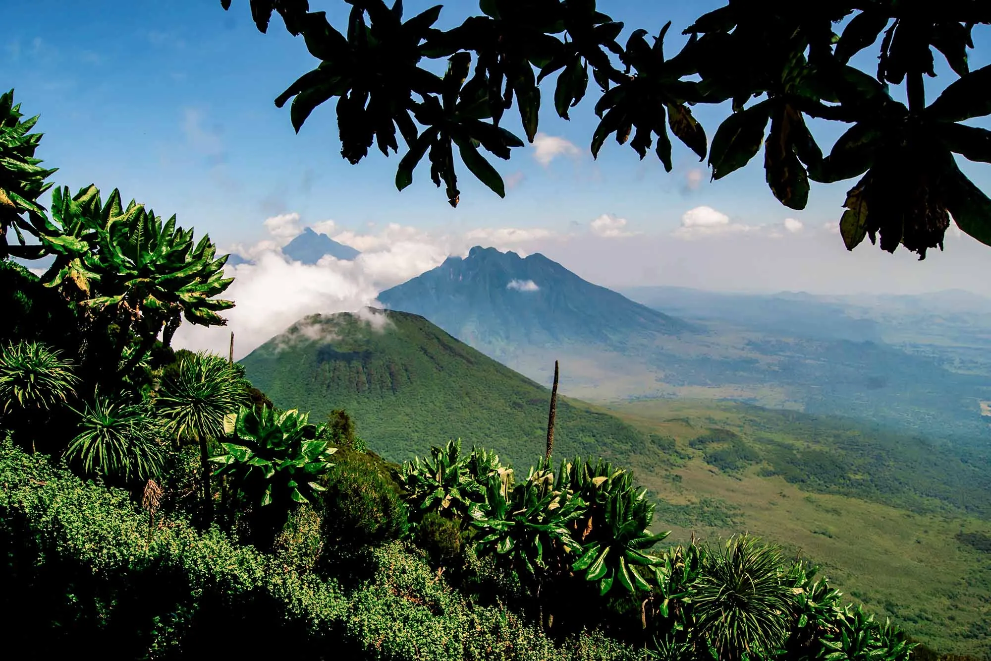 Weather is one of the most important considerations when planning a Rwanda Safari in September. During approximately the first half of the month, Rwanda normally remains within the long dry season. Roads and trails tend to be comparatively easy to navigate, although occasional showers 