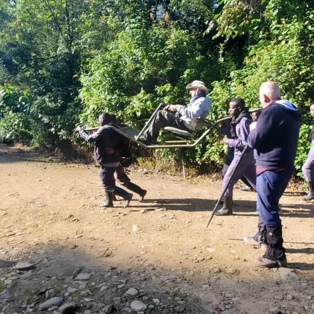 Sedan chair trekking experience in Uganda