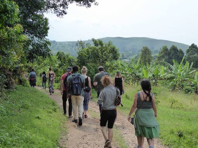 Small Group Uganda Safaris