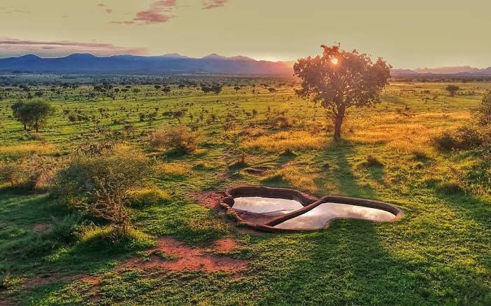 The Narus Valley is normally the central focus of wildlife viewing during a Kidepo Valley Safari. Located around the southern part of the park near Apoka, the valley contains more dependable water sources than many
