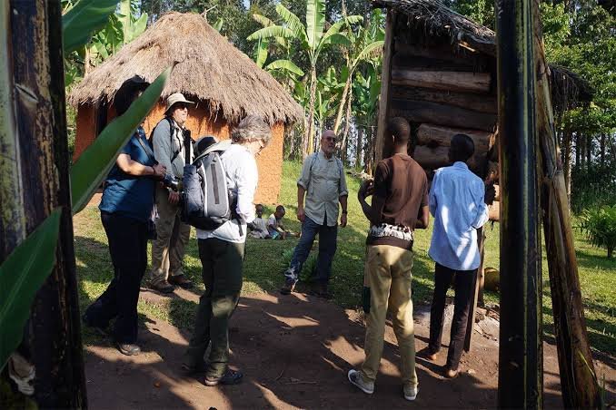 Bigodi Community Conservation Experience