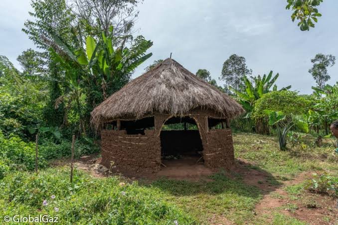 Community Conservation in Bigodi Wetland
