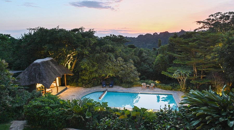 Turaco Treetops offers a unique 