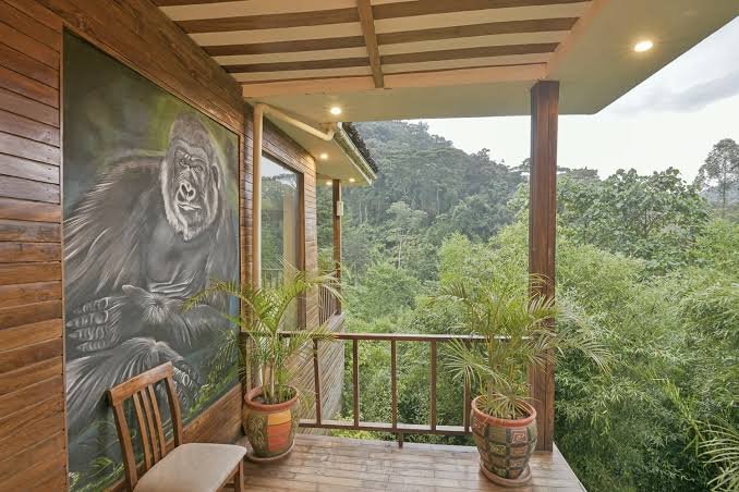 Best Uganda Luxury Lodges