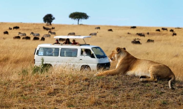 Affordable Uganda Safari Deals and Packages