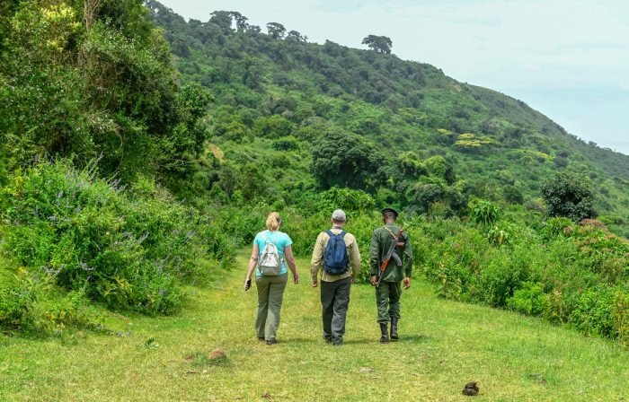 Guided Uganda Walking Safari Experience