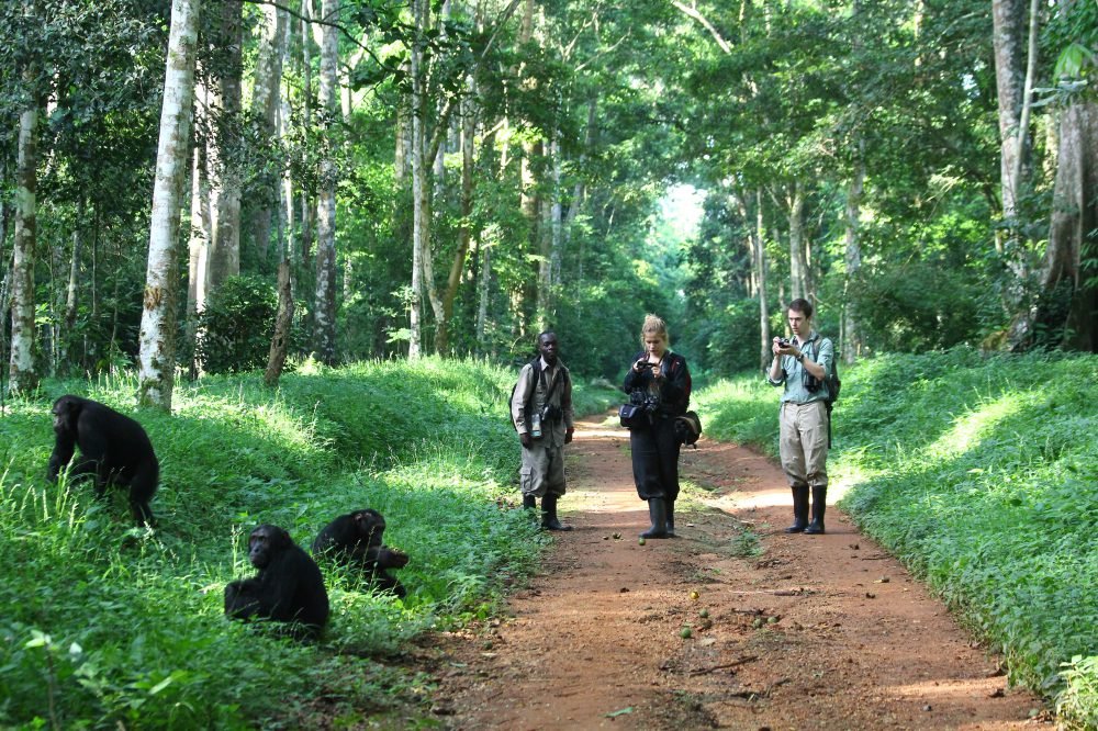 Uganda Walking Safari with Nextgen Safaris