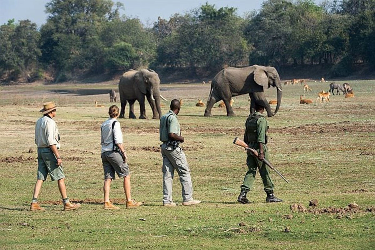 Uganda Walking Safari