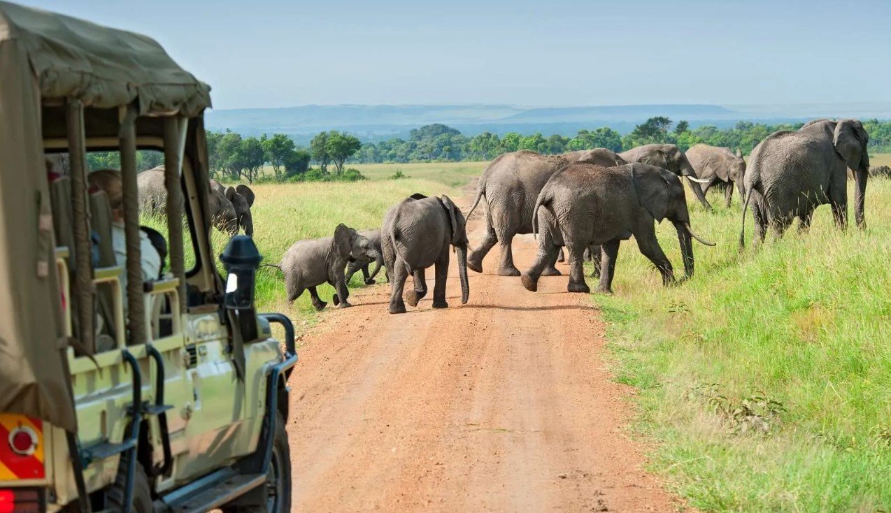 Uganda Wildlife Safari with Nextgen Safaris