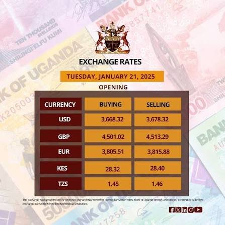 Understanding the Ugandan Shilling Exchange Rate