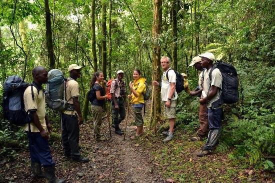 Kibale Forest Packing Guide