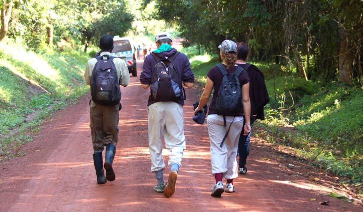 What to Pack for Kibale Forest Safari