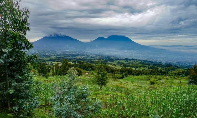 Comparison of altitude between Bwindi Forest and Volcanoes National Park