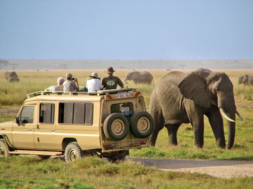 5 Days Masai Mara and Amboseli Group Joining Safari