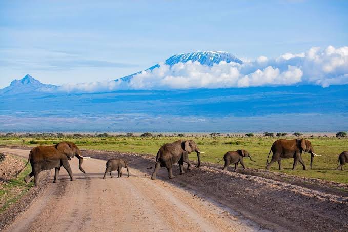 5 Days Masai Mara and Amboseli Group Joining Safari