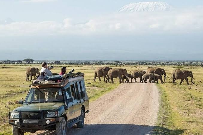 5 Days Masai Mara and Amboseli Group Joining Safari