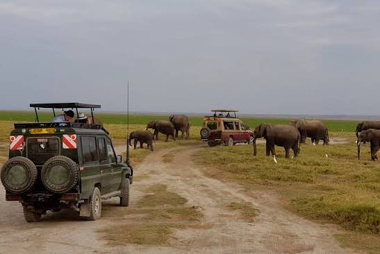 5 Days Masai Mara and Amboseli Group Joining Safari