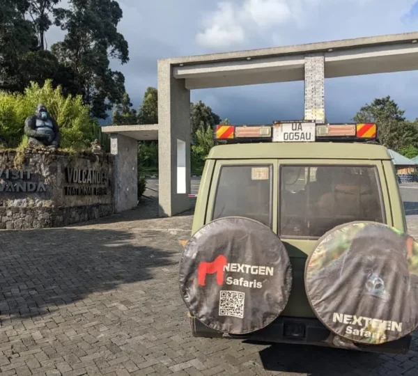 7 Days Luxury Rwanda Gorilla and Wildlife Safari