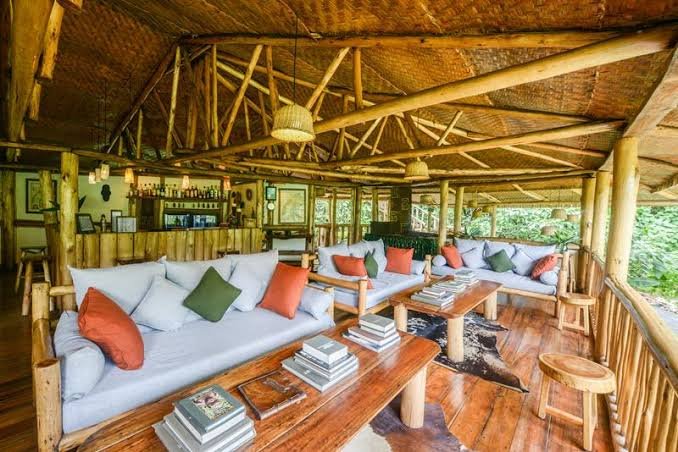 Luxury forest accommodation at Buhoma Lodge in Bwindi