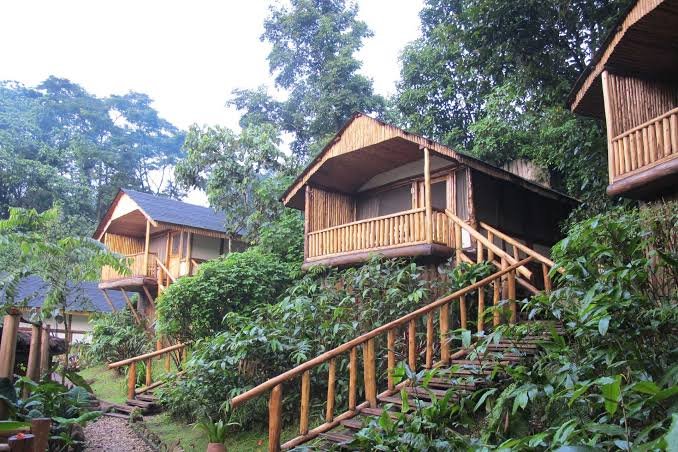 Gorilla Trekking at Buhoma Lodge luxury Bwindi safari