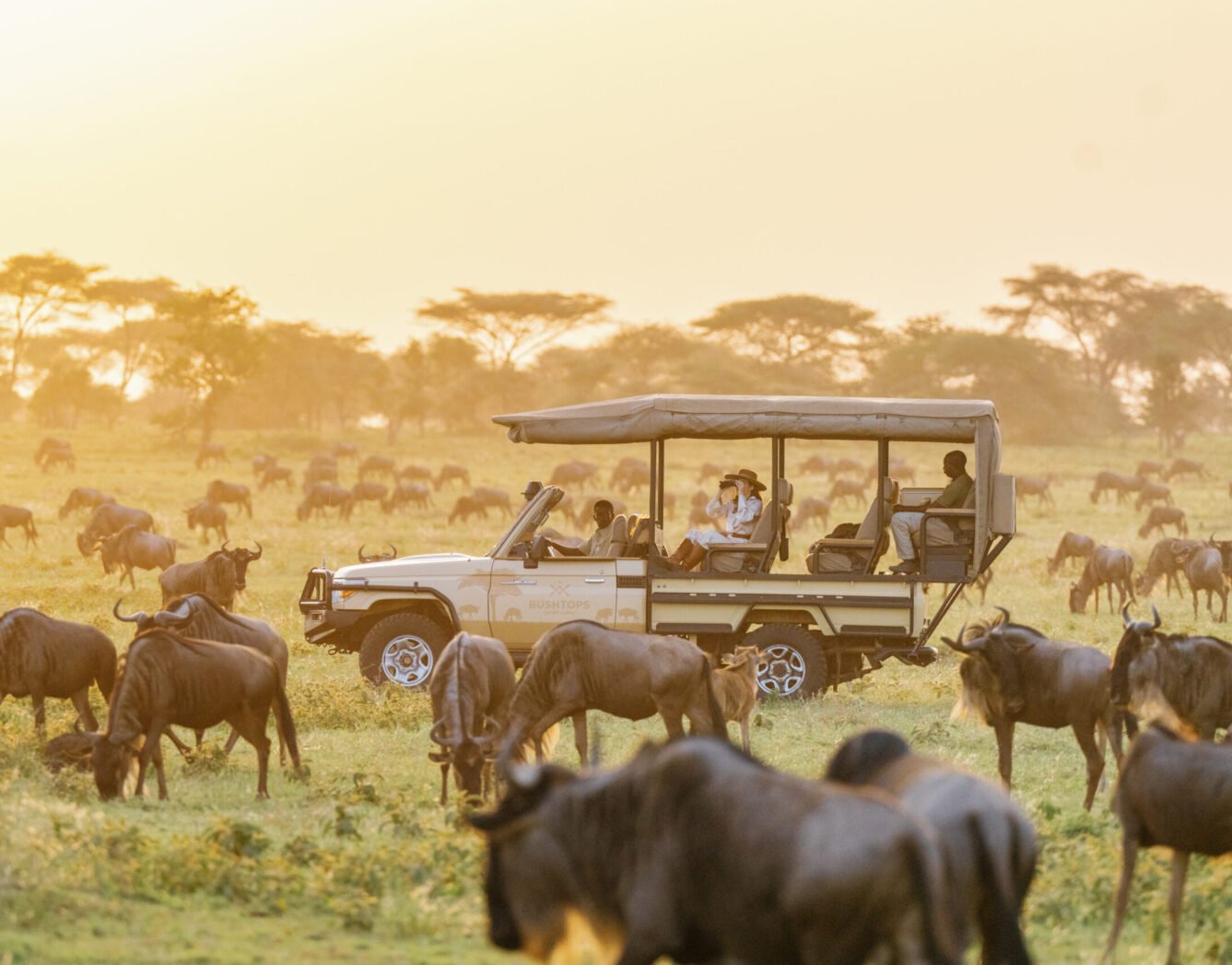 5 Days Masai Mara and Amboseli Group Joining Safari