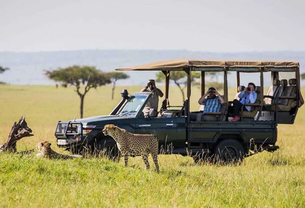 5 Days Masai Mara and Amboseli Group Joining Safari