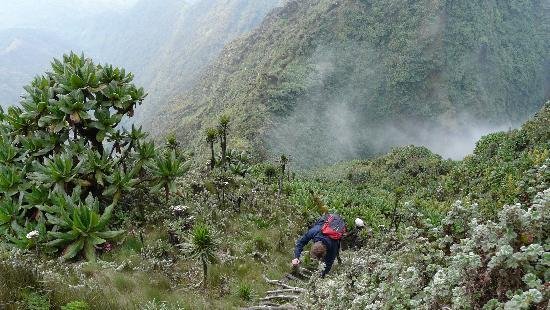 Travel route to Mgahinga Gorilla National Park for Mountain Sabyinyo hiking