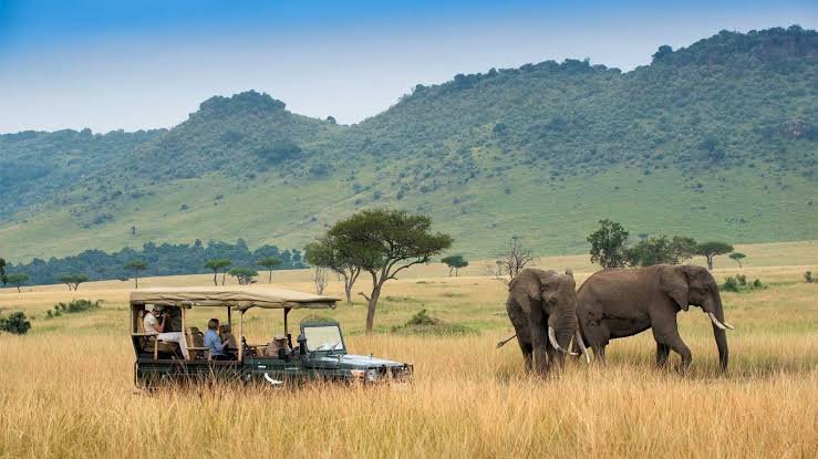5 Days Masai Mara and Amboseli Group Joining Safari