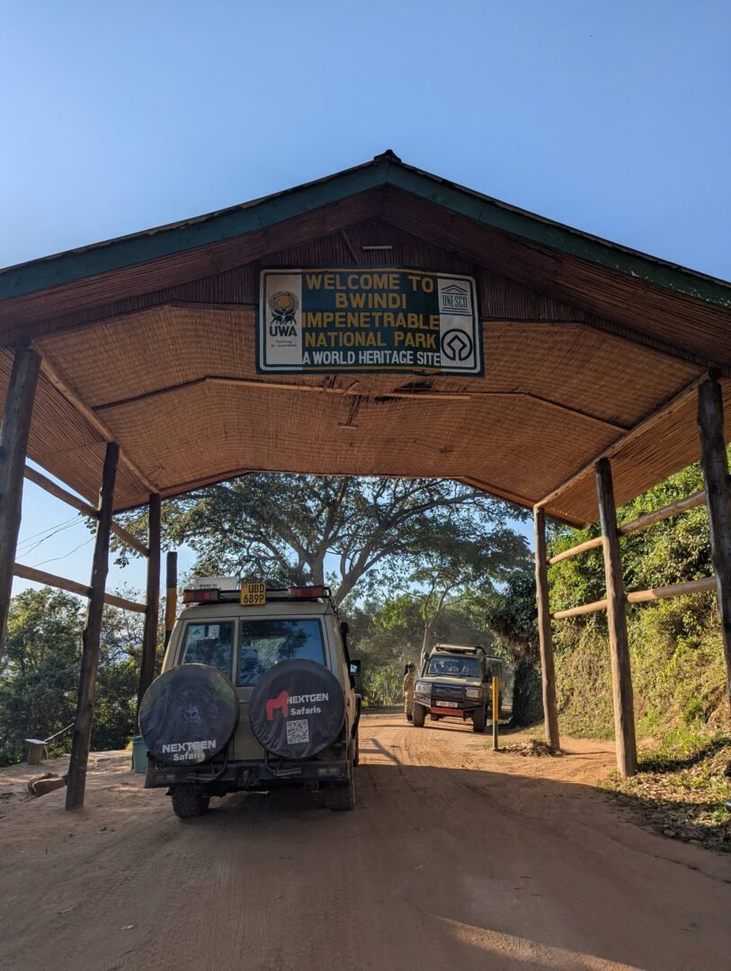 Nextgen Safaris highlights Uganda gorilla trekking and wildlife safari experiences