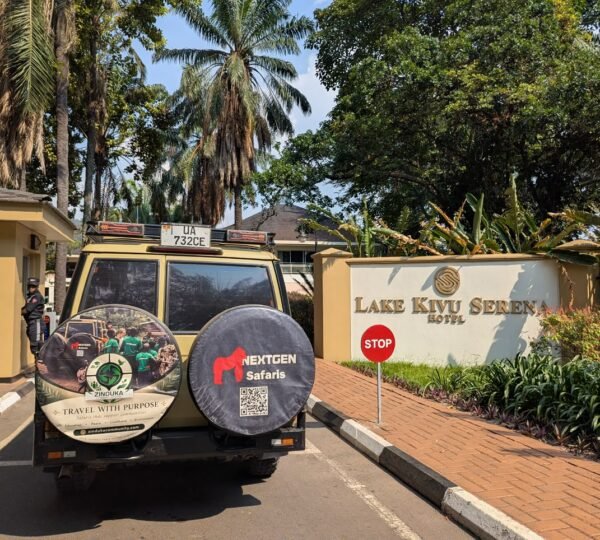 6 Days Rwanda Gorilla Golden Monkey and Lake Kivu Safari