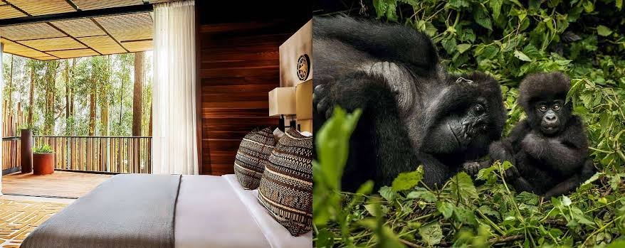 One&Only Gorilla's Nest luxury lodge