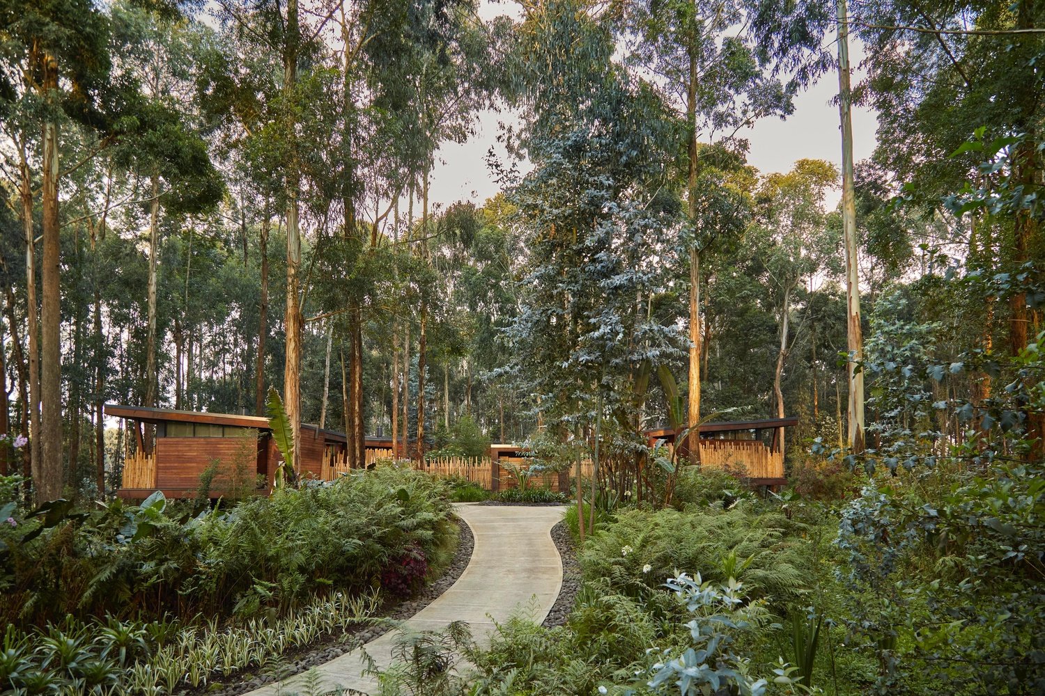 One&Only Gorilla's Nest gardens