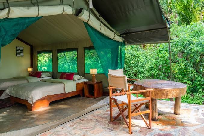 Ruzizi Tented Lodge accommodation during a 4 Days Christmas Safari in Akagera National Park