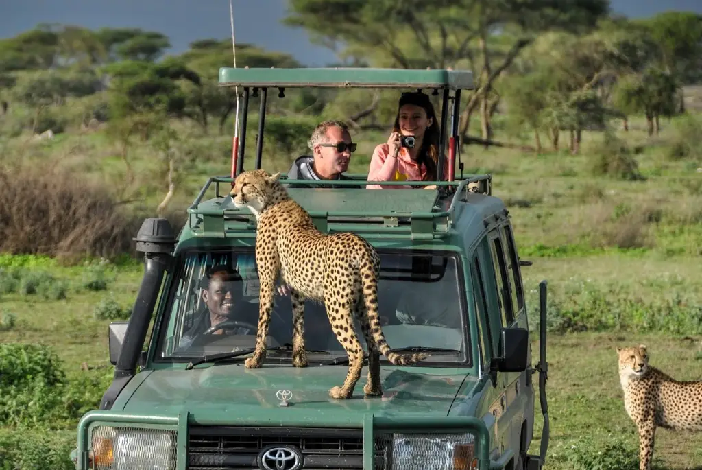 Tanzania safari adventures for every traveller