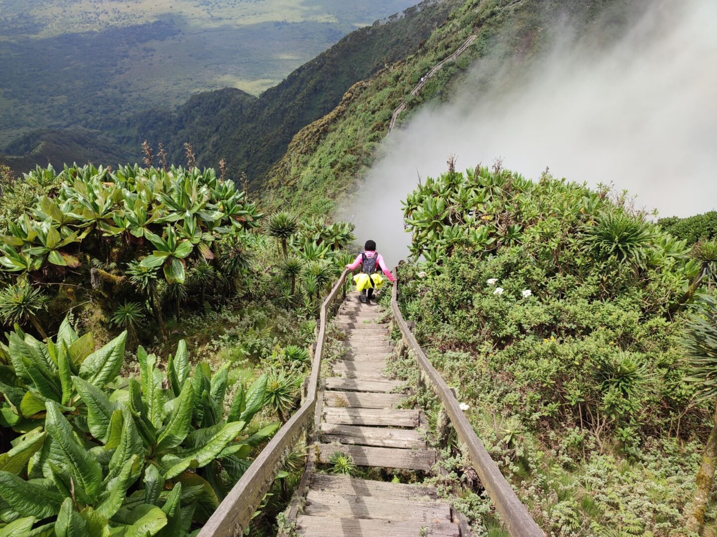 Famous Sabyinyo ladders and mountain ridges in Uganda