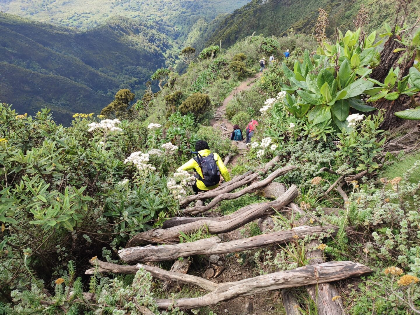 Mount Sabyinyo ladders and dramatic mountain ridges