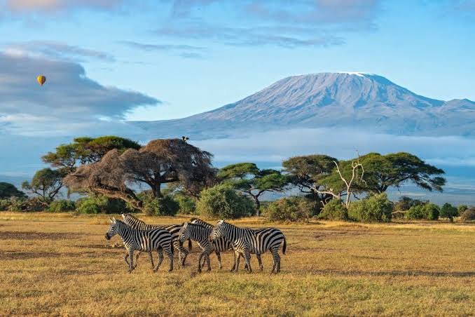 Kenya wildlife safari on 5 Days Masai Mara and Amboseli Group Joining Safari