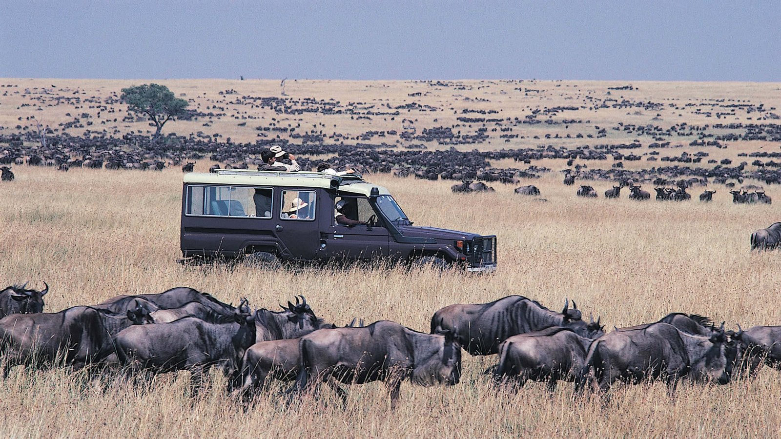 Masai Mara National Reserve on 5 Days Masai Mara and Amboseli Group Joining Safari